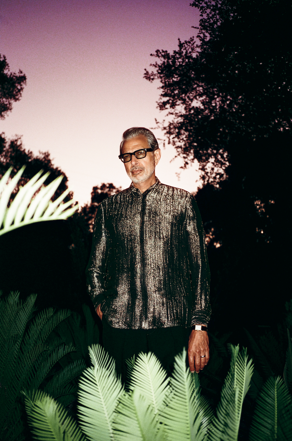 Jeff Goldblum And The Mildred Snitzer Orchestra - Night Blooms Poster