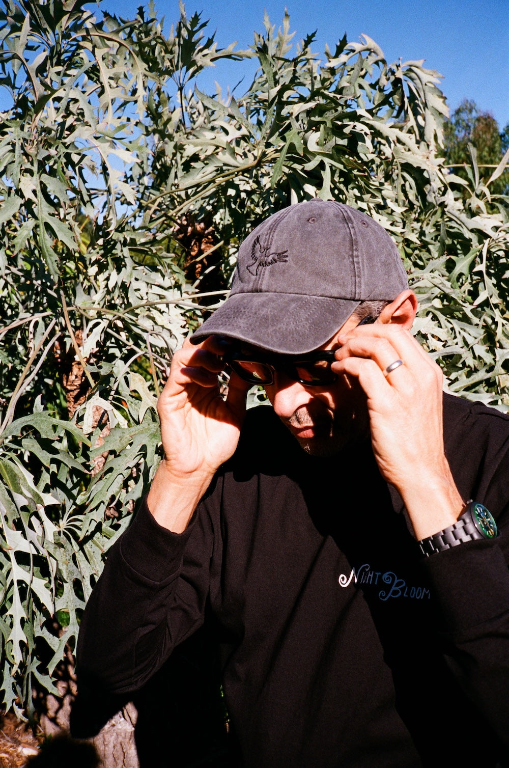 Jeff Goldblum And The Mildred Snitzer Orchestra - Night Blooms Cap - Black