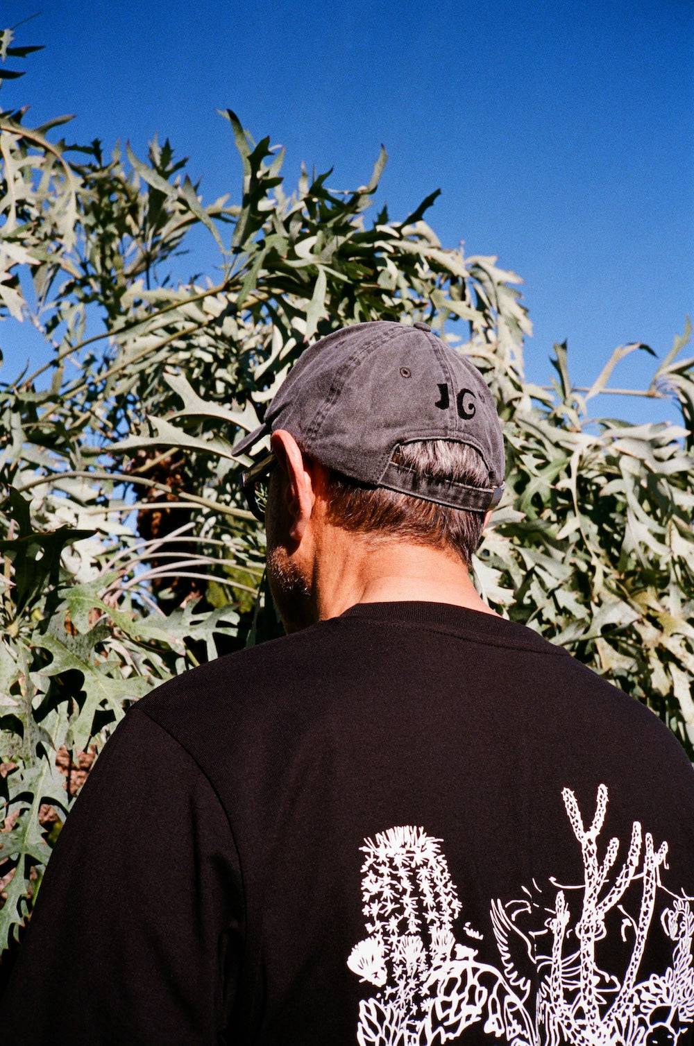 Jeff Goldblum And The Mildred Snitzer Orchestra - Night Blooms Cap - Black