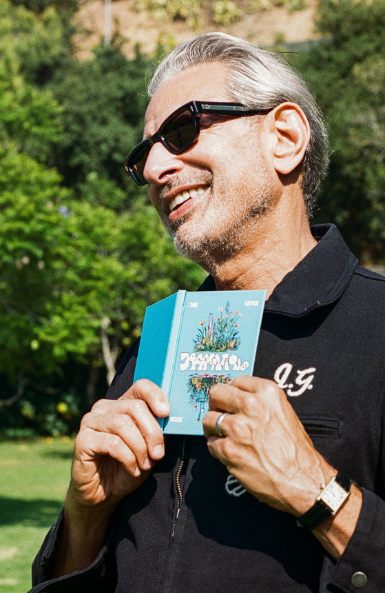 Jeff Goldblum And The Mildred Snitzer Orchestra - The Little Book of Jeffirmations