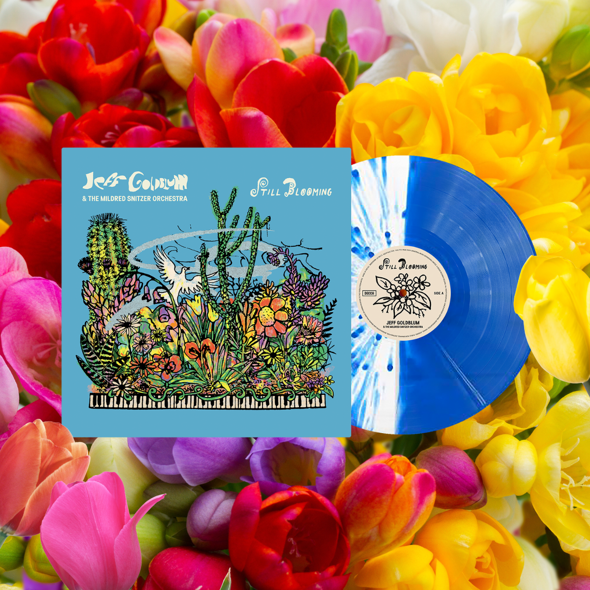 Jeff Goldblum And The Mildred Snitzer Orchestra - Still Blooming - Lightspeed Blue Vinyl
