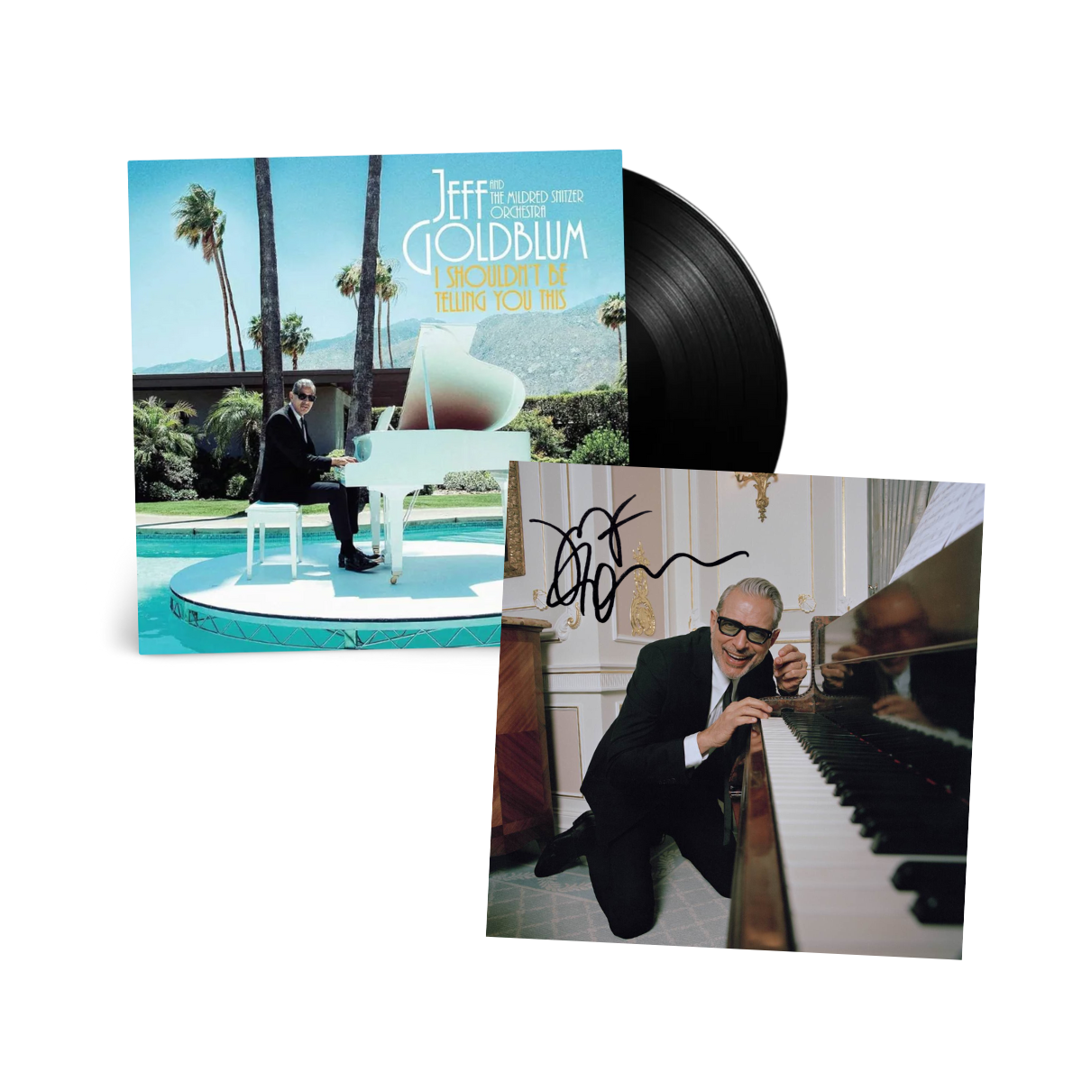 I Shouldn’t Be Telling You This: Vinyl LP + Exclusive Signed Art Card